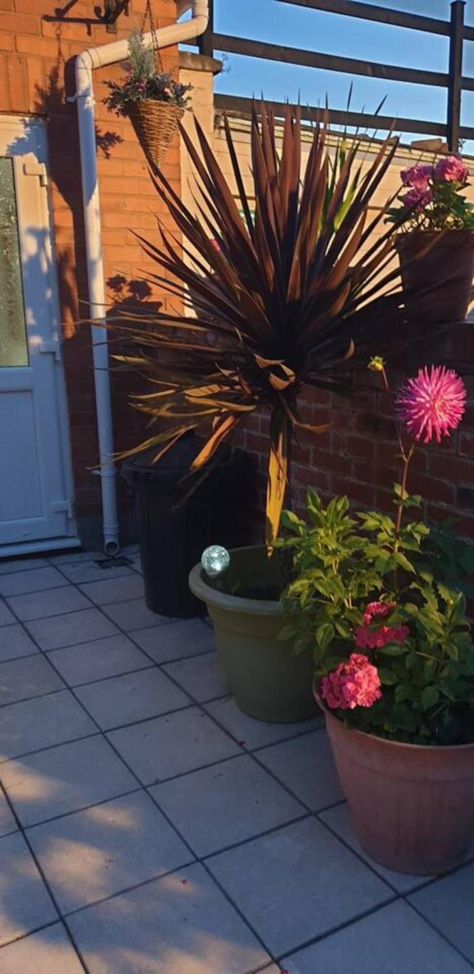 Apartamento Cosy Corner - Town Centre Flat With Free Nearby Parking Shrewsbury Exterior foto